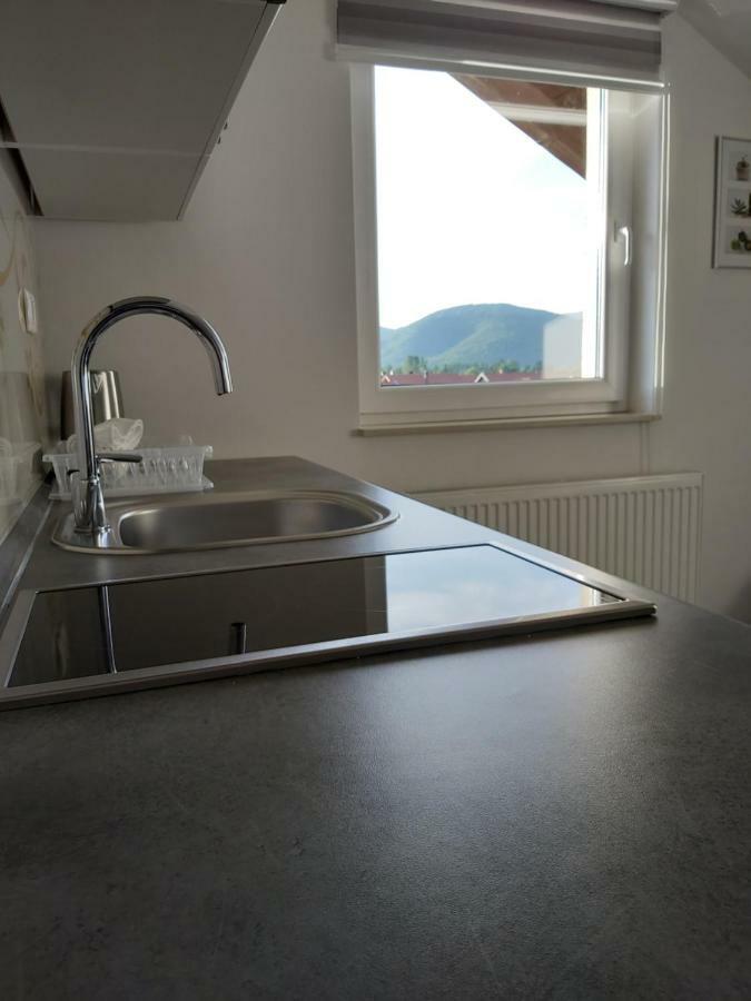 Apartmani Brigita Korenica Eksteriør billede
